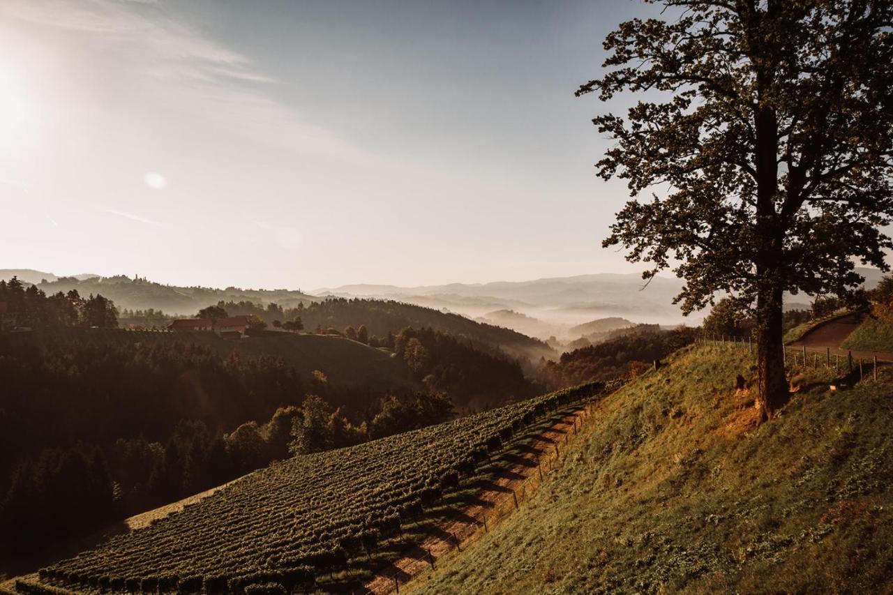 Weingut Kollerhof Am Eichberg Vila Leutschach Exterior foto